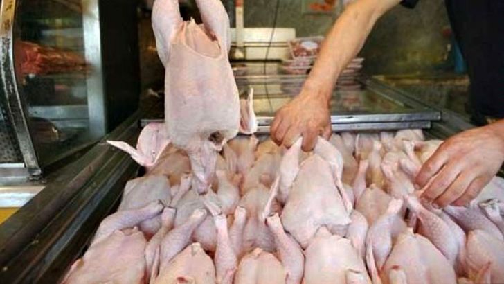 ثبات قیمت گوشت مرغ در بازار