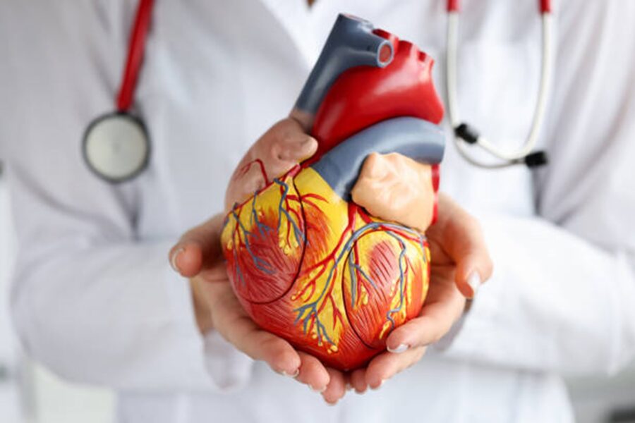 بهترین دکتر قلب تهران | درمان بیماریهای قلبی