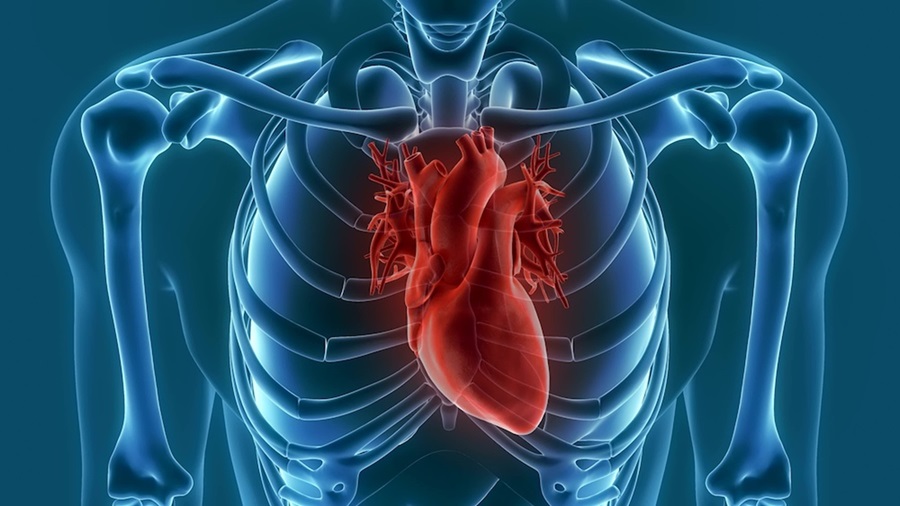 درمان نارسایی قلب در کلینیک بهار زندگی