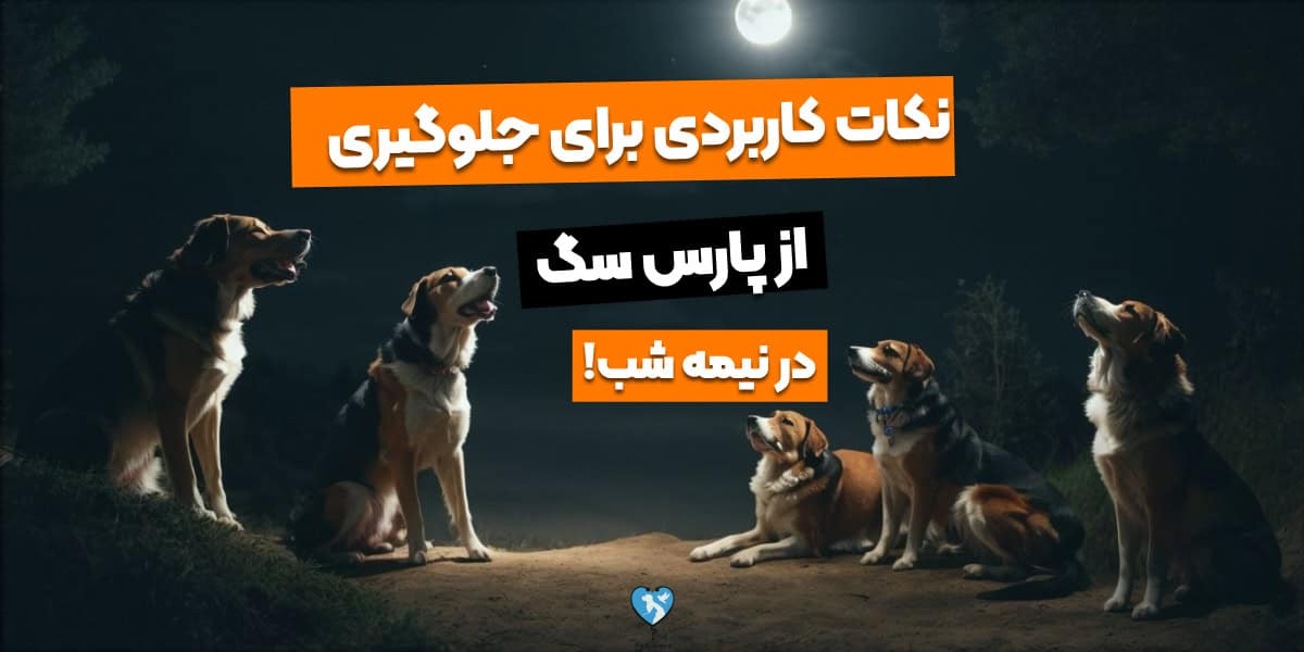 5 نکته کاربردی برای جلوگیری از پارس سگ در شب!