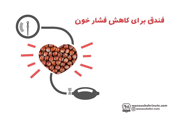 مصرف فندق برای جلوگیری از سکته مغزی و قلب