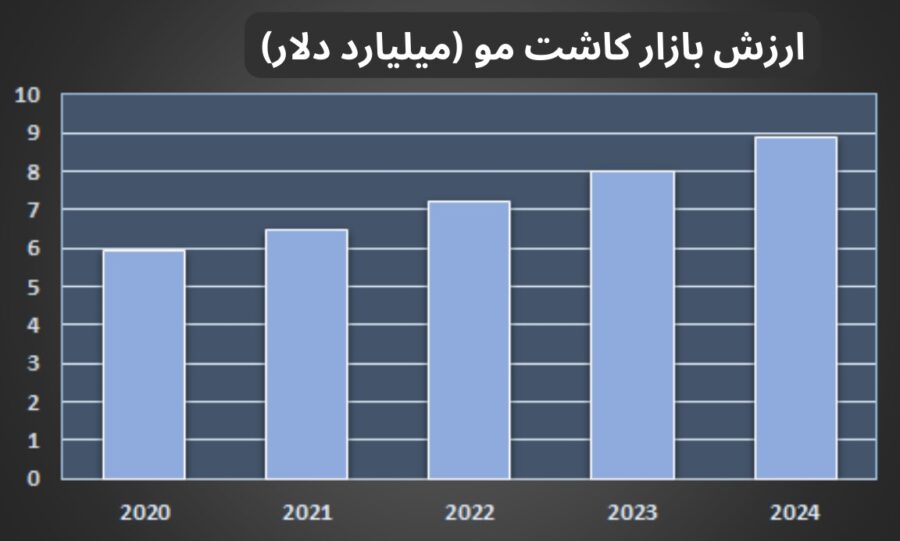 از هر ۵ نفر، ۳ نفر در تهران با مشکل شدید ریزش مو مواجه‌ اند!