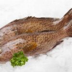 در سفر به دبی این غذاها را نخورید!