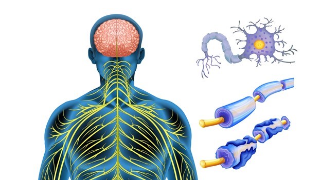 ام‌اس چیست؟