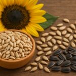 نقش مغز تخمه آفتابگردان ارگانیک در تقویت سیستم ایمنی و سلامت قلب