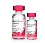 تزریق واکسن هاری بعد از گازگرفتگی در مراکز بهداشتی اردبیل