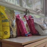 جمع‌آوری پت‌شاپ‌ها و برخورد قاطع با سگ‌گردانی در تربت‌جام