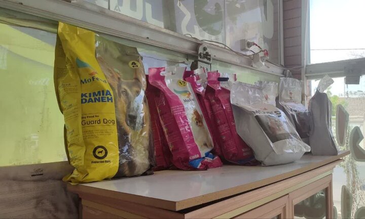 جمع‌آوری پت‌شاپ‌ها و برخورد قاطع با سگ‌گردانی در تربت‌جام