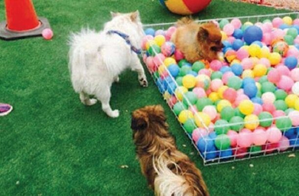 پلمب مهدسگ‌ در تبریز