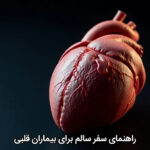 راهنمای سفر سالم برای بیماران قلبی