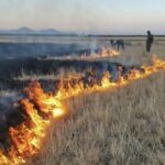 آتش‌سوزی در جنوب پارک ملی دریاچه ارومیه مهار شد