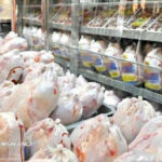 آذربایجان غربی قطب تولید گوشت مرغ؛ ۶۶ میلیون قطعه جوجه ریزی انجام شد