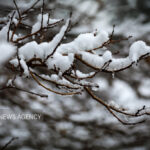 آغاز بارش برف در نیشابور