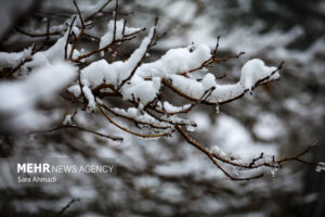 آغاز بارش برف در نیشابور