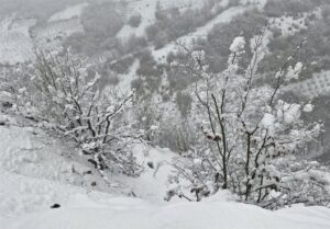 آغاز بارش برف و باران در ایلام