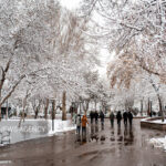 اثمری:دما در خراسان رضوی به زیر صفر می رسد؛آغاز بارش برف از فردا