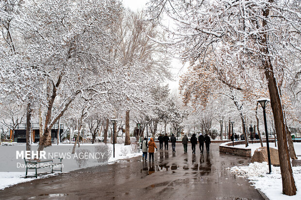 اثمری:دما در خراسان رضوی به زیر صفر می رسد؛آغاز بارش برف از فردا