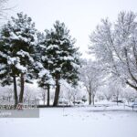 افزایش ابر و تداوم هوای سرد در قزوین؛ احتمال بارش برف در ارتفاعات