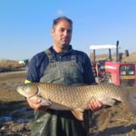 اله‌بخش: برداشت ماهیان گرمابی در پارس‌آباد آغاز شد