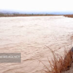 انتقال مصدوم با لودر در سیریک