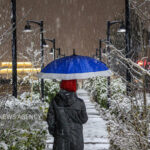 بارش برف در اقلید فارس