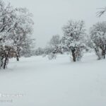 بارش برف در خوزستان