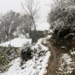 بارش برف در روستای اره چاک اشکور