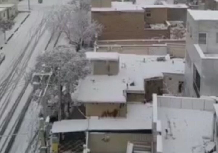 بارش برف شهر قروه را سفیدپوش کرد