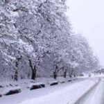 بارش شدید برف همدان را سفیدپوش کرد+ عکس