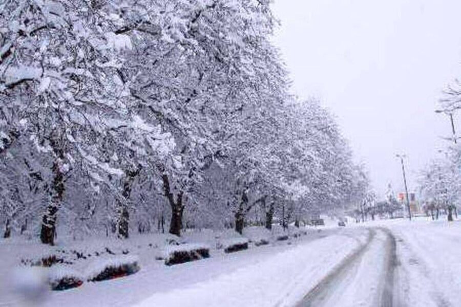بارش شدید برف همدان را سفیدپوش کرد+ عکس