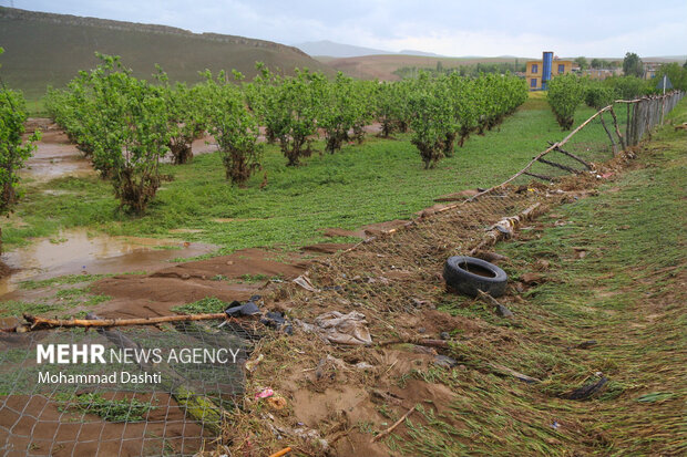 بارش‌های اخیر بیش از ۵ میلیارد تومان به بخش کشاورزی لامرد خسارت زد