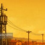 بازسازی بیش از ۲۳۲۵ متر شبکه برق آسیب دیده در شهرستان بشاگرد