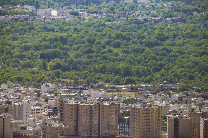 باغات قصرالدشت شیراز زیر سایه دیوارها؛ تداوم ساختوسازهای غیرمجاز باغات قصرالدشت شیراز زیر سایه دیوارها؛ تداوم ساختوسازهای غیرمجاز