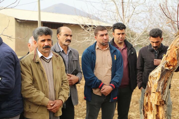 برگزاری رویداد «روز مزرعه کشت مکانیزه نخود انتظاری» در خرم‌آباد