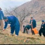برگزاری مراسم «زاگروسانه» با رویکرد حفاظت از منابع طبیعی در روستای نسل