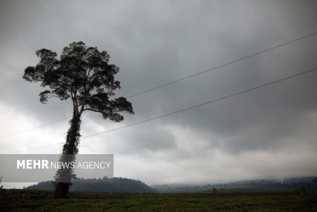 تداوم سرما در استان سمنان؛ ابرها برای شرق، آلودگی برای غرب!