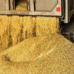 توزیع نهاده‌های دامی از بندر امام ۱۶ درصد رشد کرد