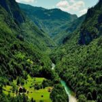 جنگلداری نوین در هیرکانی؛ بازسازی مدیریت علمی جنگل‌های شمال