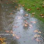 حال و هوای پاییزی شهر ایلام