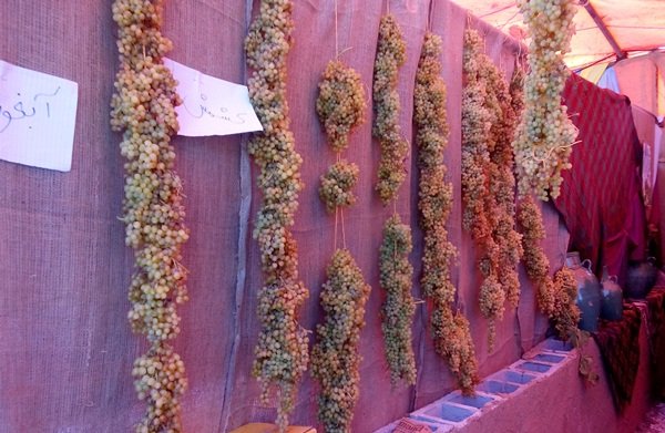 حسن رباط؛ روایت یک روستای کشاورز از دل اصفهان