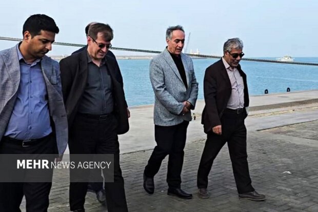 حسینی: کنترل دقیق نهاده‌های دامی پیش از ورود به چرخه تولید ضرورت دارد