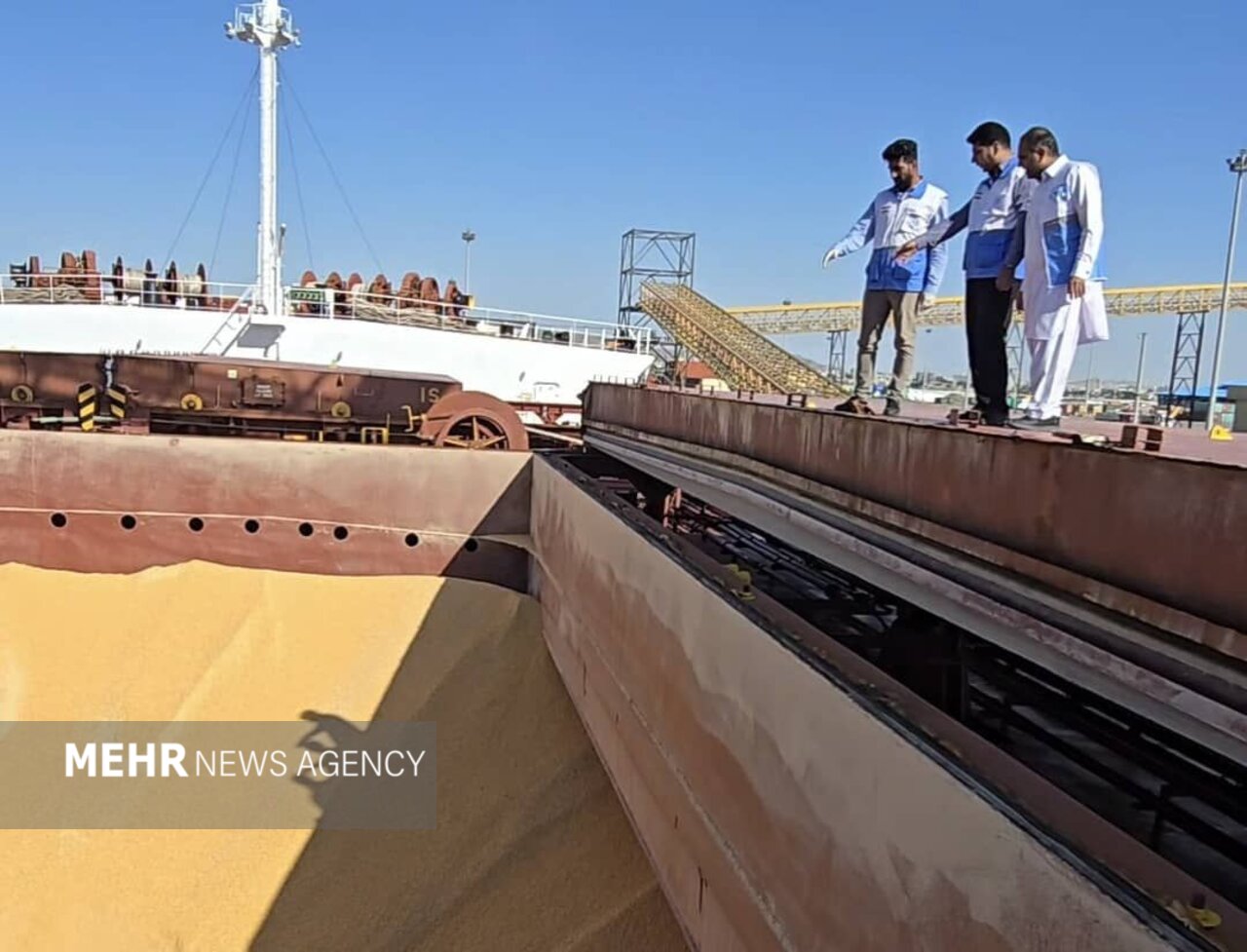 حسینی: کنترل دقیق نهاده‌های دامی پیش از ورود به چرخه تولید ضرورت دارد