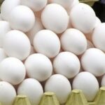 خانزاده: بیش از ۲ تن تخم مرغ فاقد گواهی بهداشتی در کاشمر توقیف شد