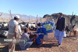 خدمت رایگان دامپزشکی به عشایر روستاهای ایرندگان خاش