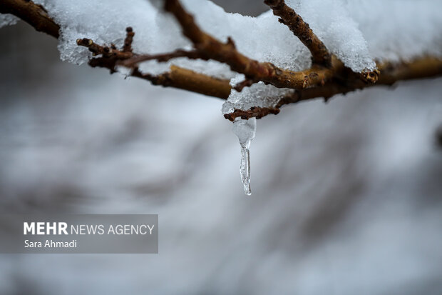 خروج سامانه بارشی از خراسان رضوی؛روند افزایشی دما آغاز شد
