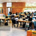 دانشگاه سیستان‌وبلوچستان؛ از زیست‌بوم نوآوری تا صادرات صنایع خلاق