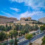 «دانشگاه شیراز» مرکز برتر در توسعه هدایت شغلی کشور شد