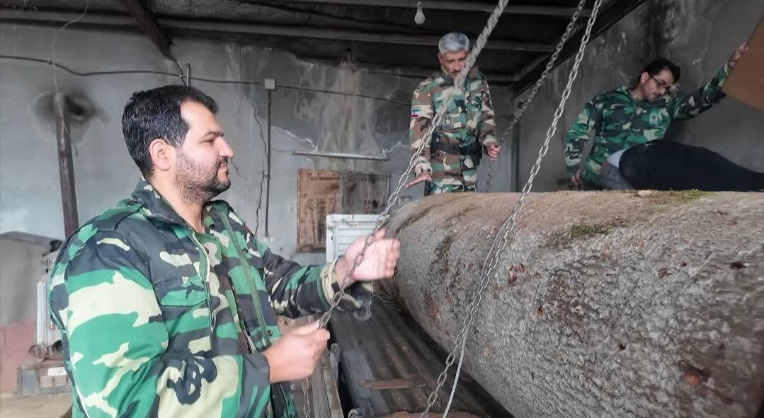 دستگیری قاچاقچی قطع درختان راش در جنگل‌های هیرکانی