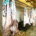 رئیس دامپزشکی کنگان: تأمین گوشت از کشتارگاه‌های مجاز انجام می‌شود