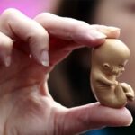 ‌روزانه تا هزار سقط جنین در کشور؛ آماری ۳۰ برابر تلفات تصادفات!